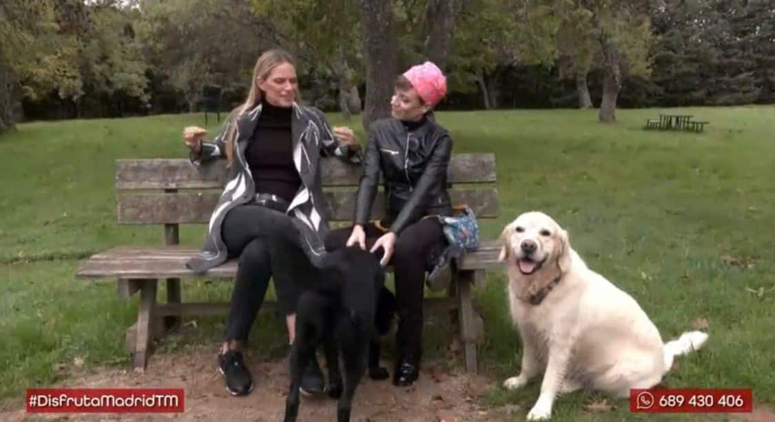 En este momento estás viendo Disfruta Madrid en Telemadrid